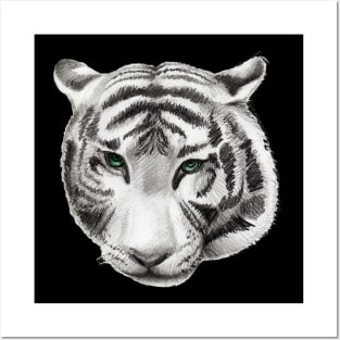 White tiger Posters and Art